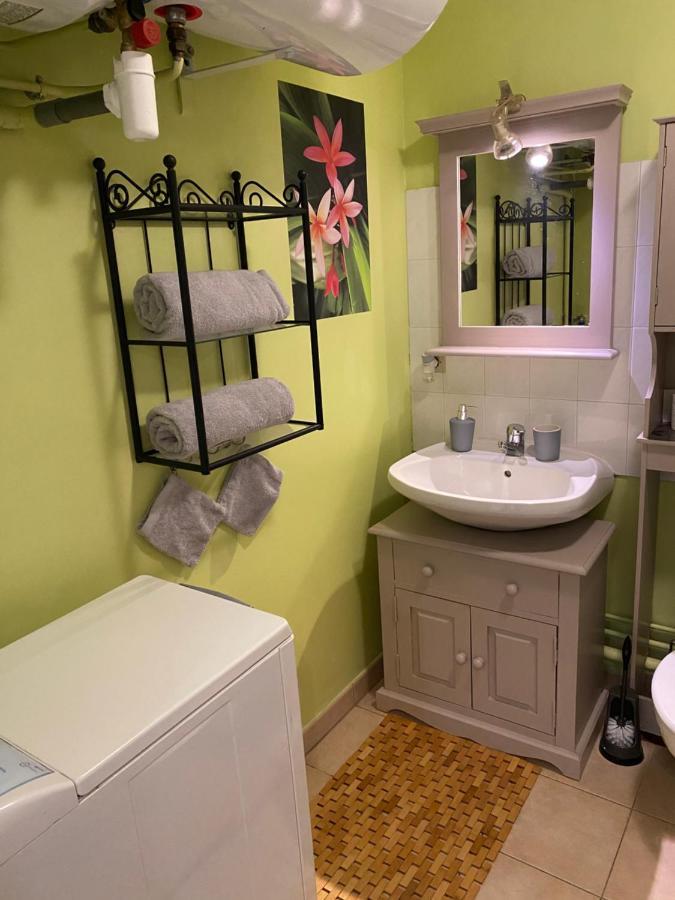 Appartement Cosy Avec Jardin Privatif Et Garage Fontainebleau Exterior photo